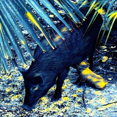 Limpy and Baby Starry Night - Copy